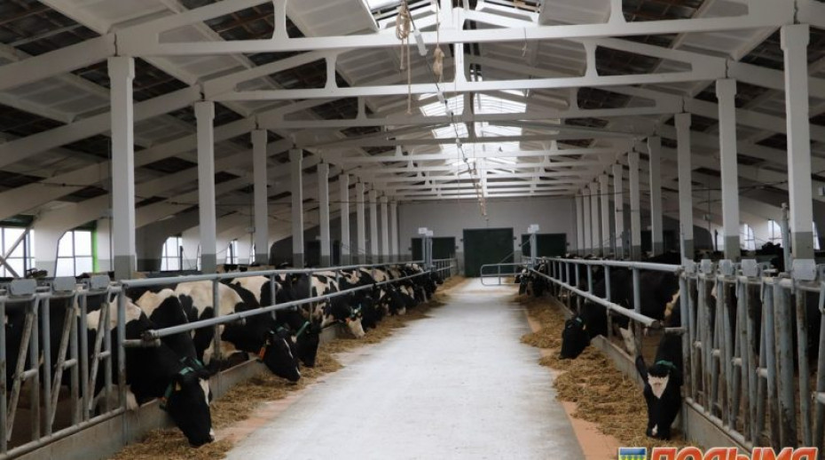 В Кореличском районе открыли новую молочно-товарную ферму на 610 голов