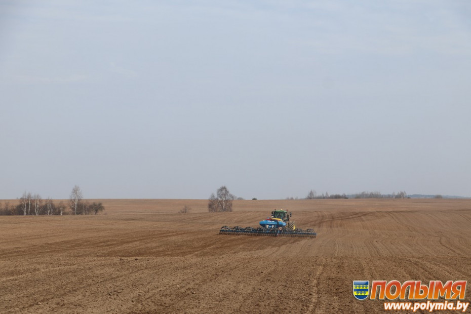 В Кореличском районе ранние зерновые и зернобобовые культуры посеяны на 73% площадей
